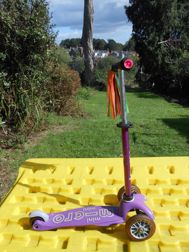 Micro mini purple wheel - micro,